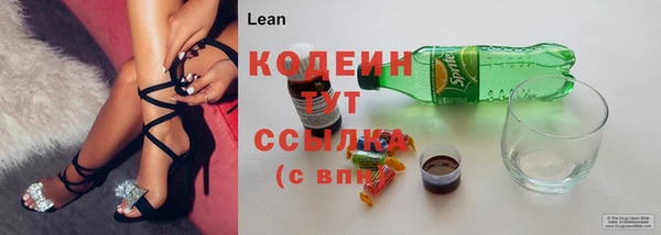 прущие грибы Арсеньев