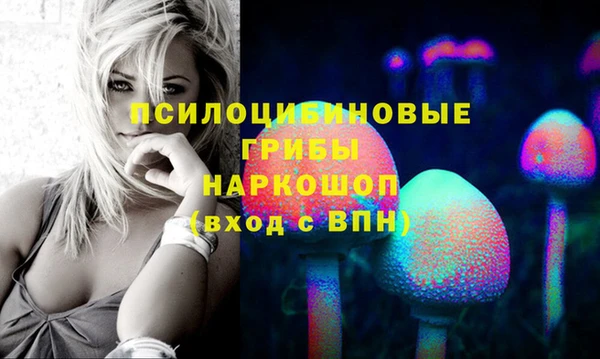 тгк Аркадак